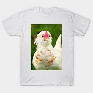 White Barbu d'Uccle bantam chicken T-Shirt